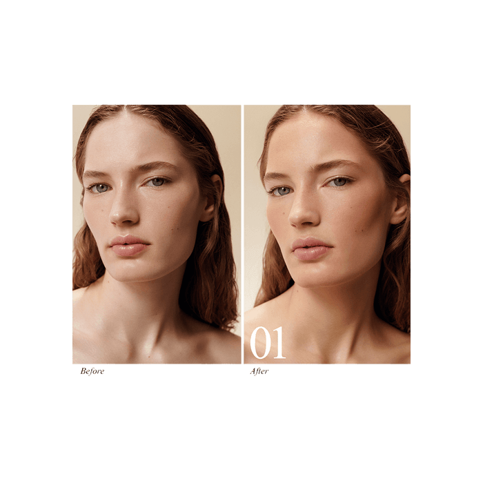 Matte Bronzing Brick Ricarica