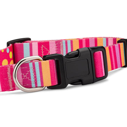 Molly Dog Collar and Leash Wholesale