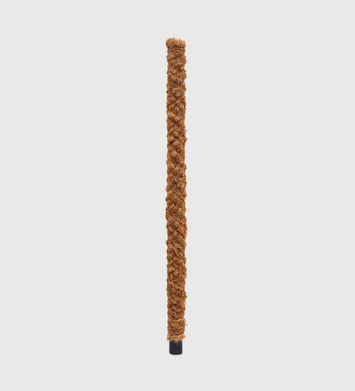 Moss Pole