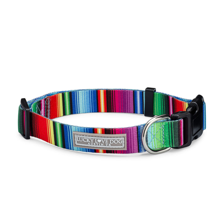 Nacho Dog Collar and Leash Wholesale
