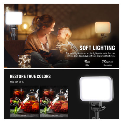 NEEWER BASICS BP66 Bi-Color Video Light Panel Lighting Kit