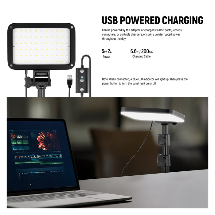 NEEWER BASICS BP66 Bi-Color Video Light Panel Lighting Kit
