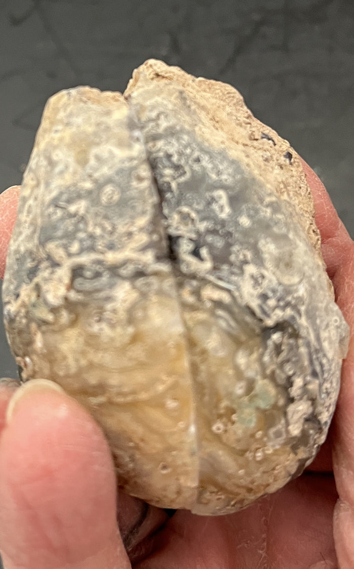 Oco Geode Pair 4 - Of Coins & Crystals
