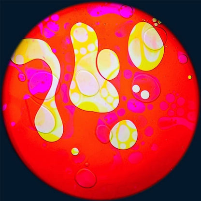 OPTIKinetics 6 inch Liquid Effect Wheel Roses Delight showing the hand-made glass oil projection effect for use with Solar 100 LED and Solar 250 LED sensory projectors