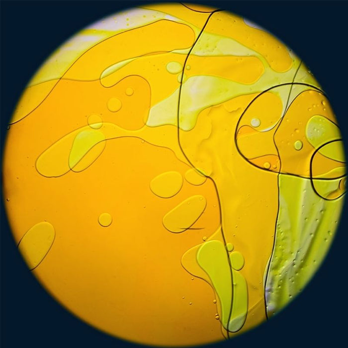 Sahara Sun
