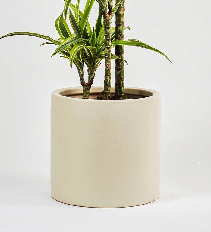 Oyster Earthenware Pot (25cm)