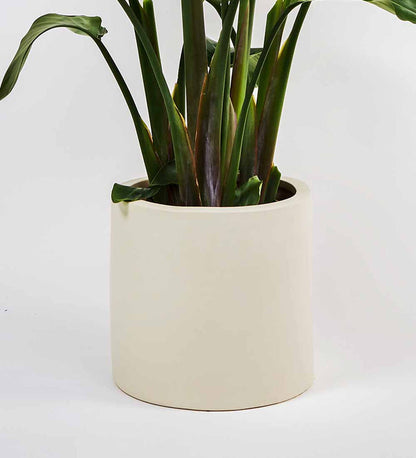 Oyster Earthenware Pot (28cm)