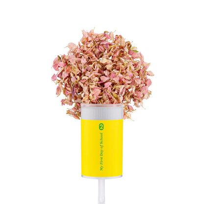 Pencil Confetti Popper