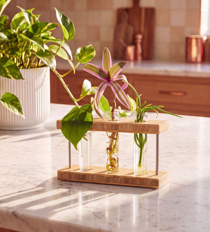 Propagation Station