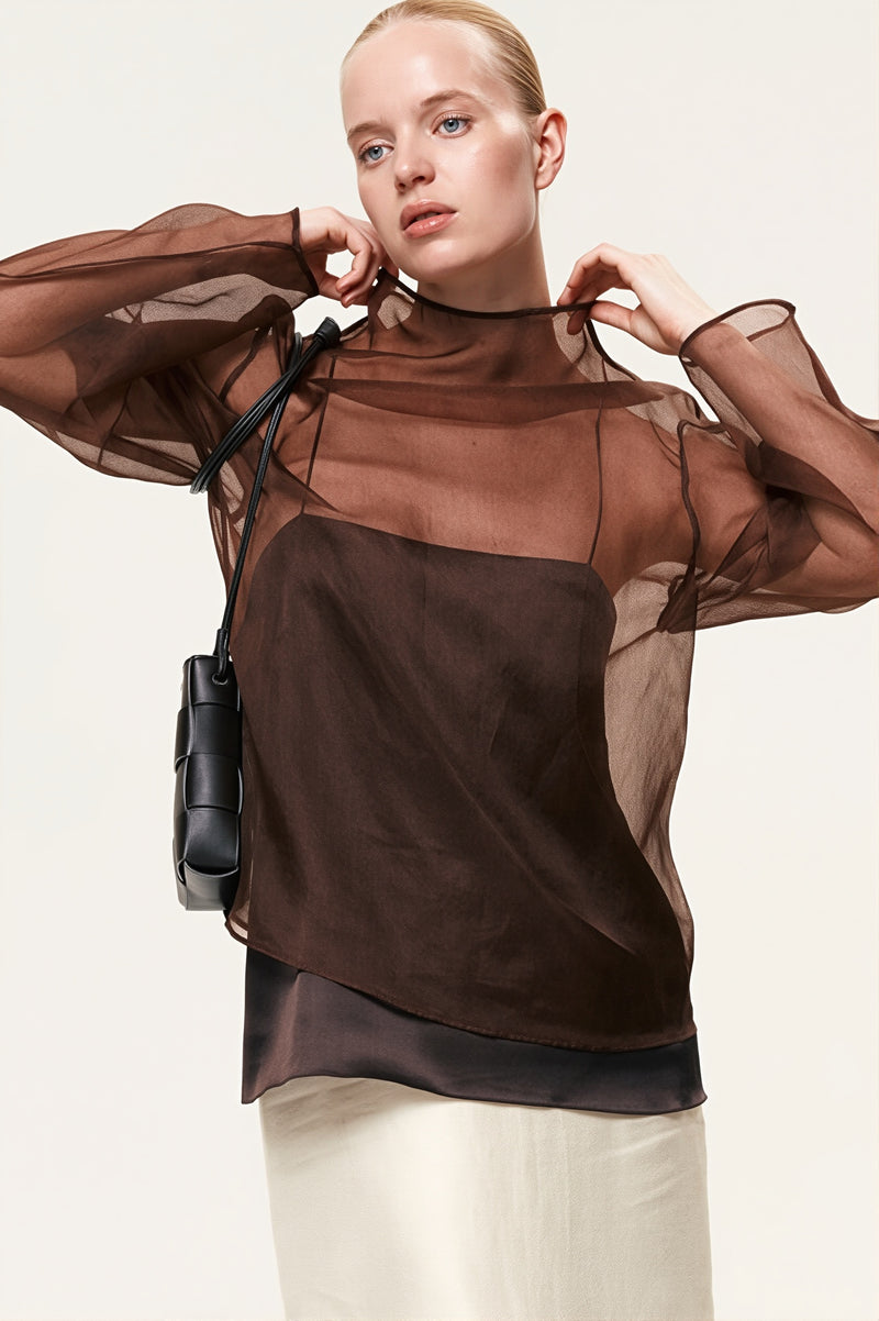 Sheer Mesh Long Sleeve Blouse