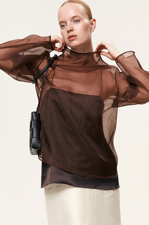 Sheer Mesh Long Sleeve Blouse