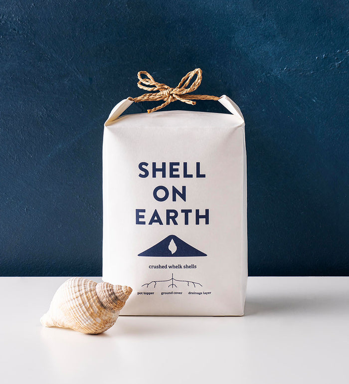 Shell On Earth
