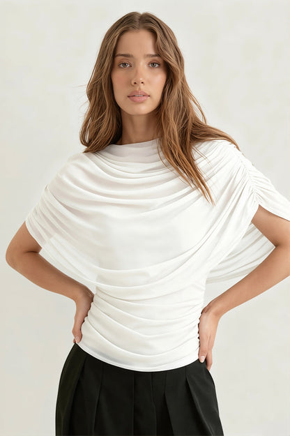 Solid Sheer Ruffle Scarf Neck Blouse