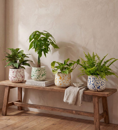 Splatter Pot x Hot Pottery Cranberry