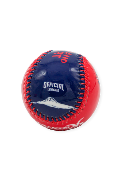 The Head and the Heart x Tacoma Rainiers Evergreen Baseball