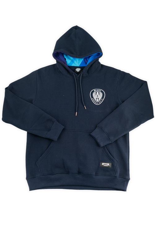 [ Warren Haynes x Asheville City SC ] Southern Sound Hoodie - Official League
