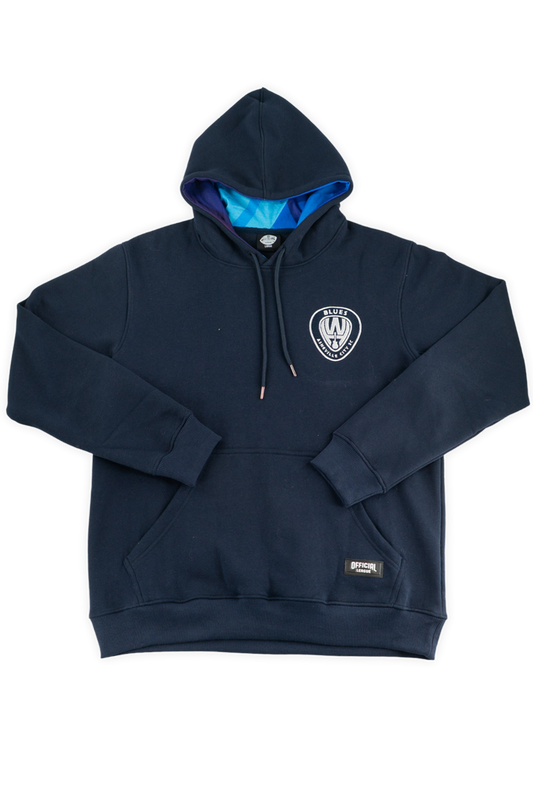 [ Warren Haynes x Asheville City SC ] Southern Sound Hoodie - Official League