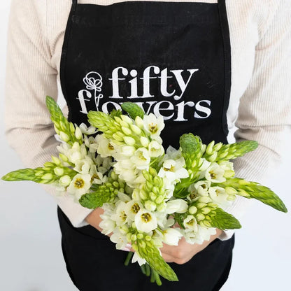 White Star Of Bethlehem Flowers Apron - Image