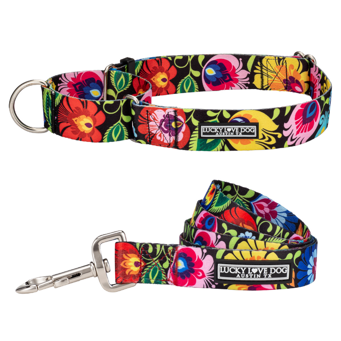 M / Wide Martingale+Matching Leash (SAVE 10%)