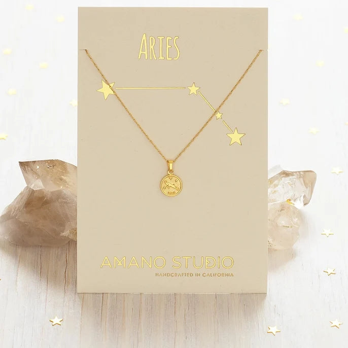Zodiac Medallion Necklace - Ali's Wagon