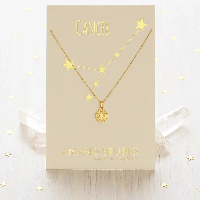 Zodiac Medallion Necklace - Ali's Wagon