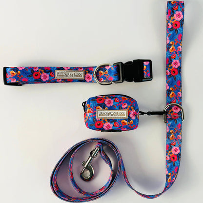 Zuzu Complete Walking Set