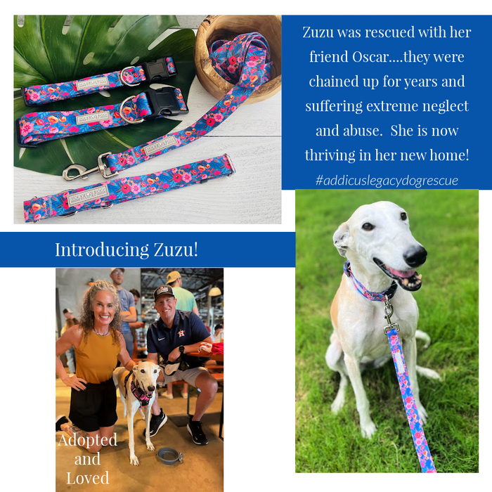 Zuzu Complete Walking Set